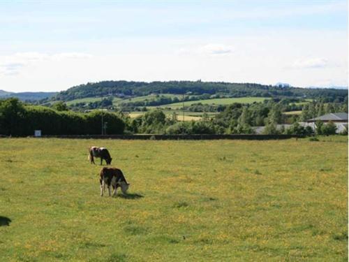 Hillhead Farm Lets Hotel Stirling Bagian luar foto