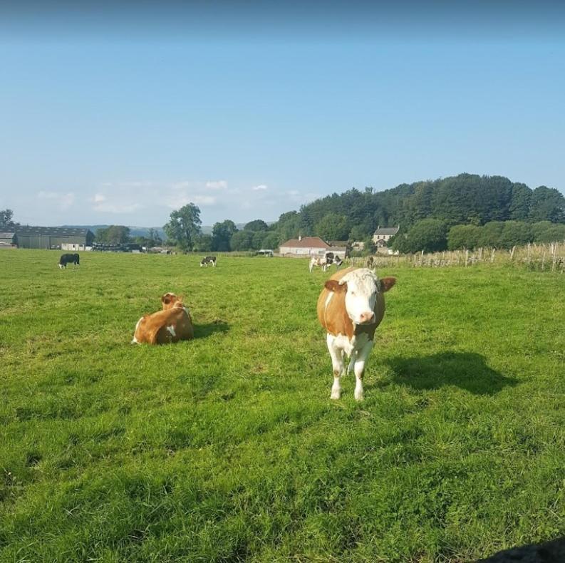 Hillhead Farm Lets Hotel Stirling Bagian luar foto
